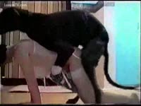 Asian beastiality with a dog